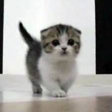 tyty1101052011's profile picture. 京都～たまに東京在住。ビジネスコンサルタント業、♪読書、 人生哲学、名言、格言好き。　