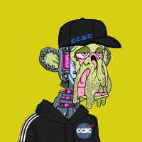 CryptoCelestials (@ccsc_official) 's Twitter Profile Photo CryptoCelestials (@ccsc_official) 's Twitter Profile Photo