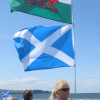 Alison McIntyre (@cybernat61) 's Twitter Profile