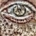 Harry Lotter (@harrylotter5) Twitter profile photo Harry Lotter (@harrylotter5) Twitter profile photo
