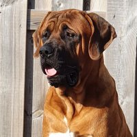 ries (@riesloo77) 's Twitter Profile