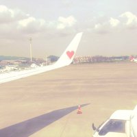めーぷる (@ruru_003) 's Twitter Profile