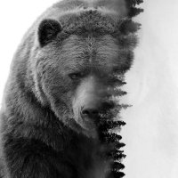 BrokenwoodBear (@brokenwoodb) 's Twitter Profile Photo BrokenwoodBear (@brokenwoodb) 's Twitter Profile Photo