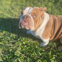 Armando (@_mando_99) 's Twitter Profile