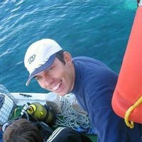 Atilla (@atillaayaz) 's Twitter Profile