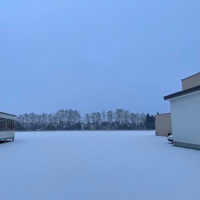 SHU77789598's profile picture. 