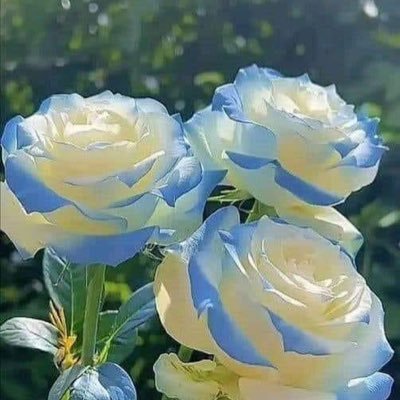 Public account
Training
EFL/ESL
Training Head staff
ESL Trainer Training
Atrs*Literature
Poetry
Religion
Family Affairs