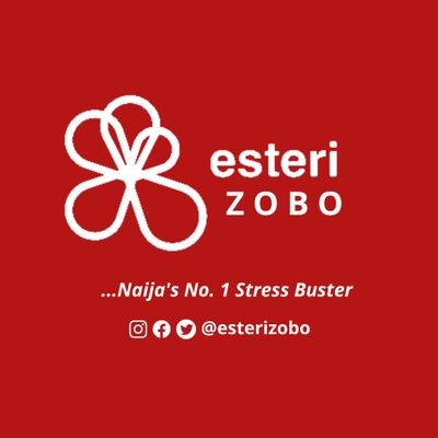 Esteri Zobo leverages on the hibiscus value chain to create: Zobo in teabags & Sugar-free Zobo drink | Health & Wellness tips on Stress Management