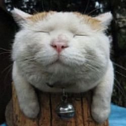 Adib62742530's profile picture. I want to enjoy my daily life