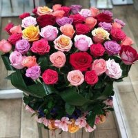مرحبا (@abwrshyd19) 's Twitter Profile