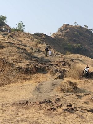 QurratulainBus1's profile picture. 