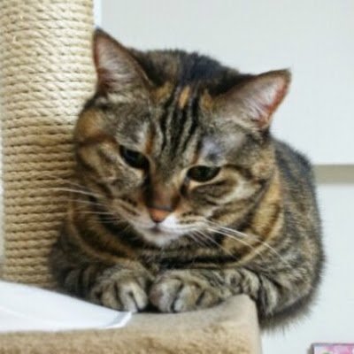 usC9tFSqWxQ94es's profile picture. #USJ
リオレウス🦖ティガレックス🦖