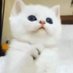 Gowtham (@gowtham95844676) Twitter profile photo Gowtham (@gowtham95844676) Twitter profile photo