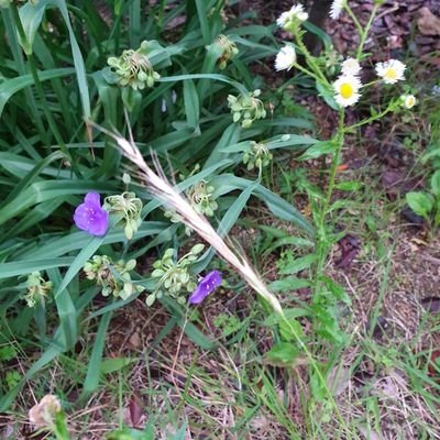 refreshbreeze9's profile picture. 