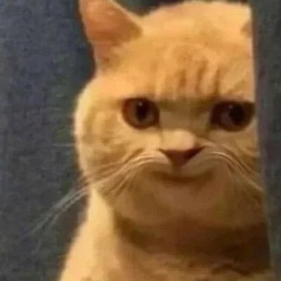 xppannee's profile picture. 