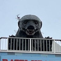 悲しい　まりあ　アニマックス (@suzukyuu_t) 's Twitter Profile