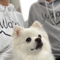 たお (@h_tec2016_7_1) 's Twitter Profile