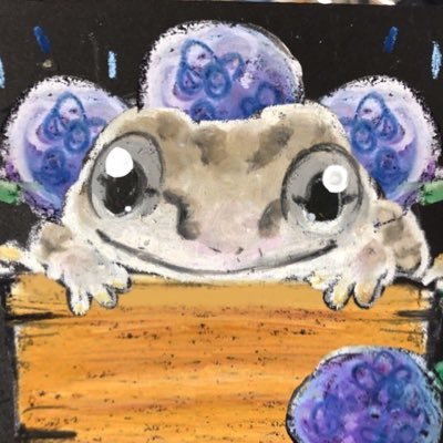 youtya_ggggg's profile picture. 爬虫類飼育者　ベースやってる