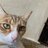 jero2389's profile image