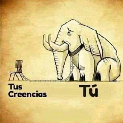 lcabezas72's profile picture. 
