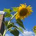 Denville Schools Green Team (@denville_green) Twitter profile photo Denville Schools Green Team (@denville_green) Twitter profile photo
