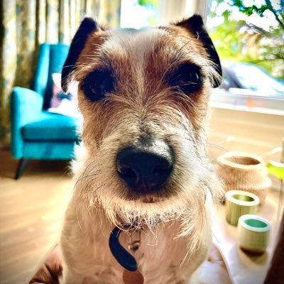 allanwalker3561's profile picture. 