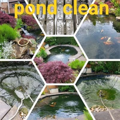 Pond specialists we specialise in pond cleaning, lining, filter and pump installation and all other aspects of ponds we are fully registered and insured