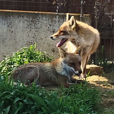 東邦 生物 ４年
無言フォロー失礼します_(._.)_
気軽にフォローしてください！