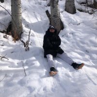 noel (@alessandroidec) 's Twitter Profile