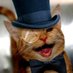 Soy Un Gato Elegante (@trijoku2409) Twitter profile photo Soy Un Gato Elegante (@trijoku2409) Twitter profile photo