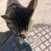 R.Bos 🇺🇦🇮🇱 (@bosakowski) 's Twitter Profile