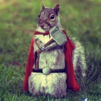 MurilloCuero1's profile picture. 