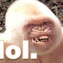 Rory Baker - @Borbor14 - Twitter