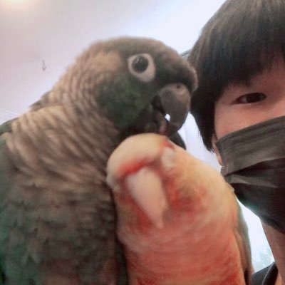 ひかるさんのプロフィール画像