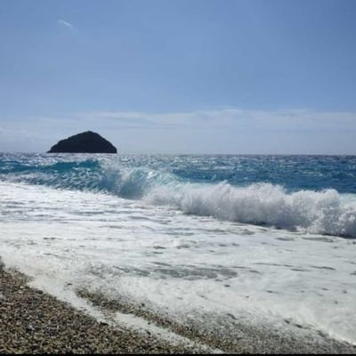 LoveforFreedom7's profile picture. 