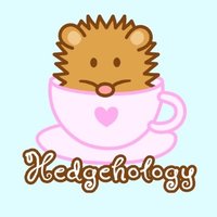 Hedgehology(@hedgehology) 's Twitter Profile Photo