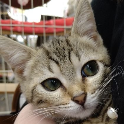 9939Hide's profile picture. 