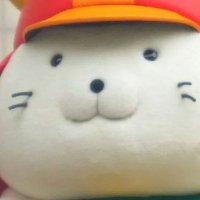 しもた (@coc_mota) 's Twitter Profile