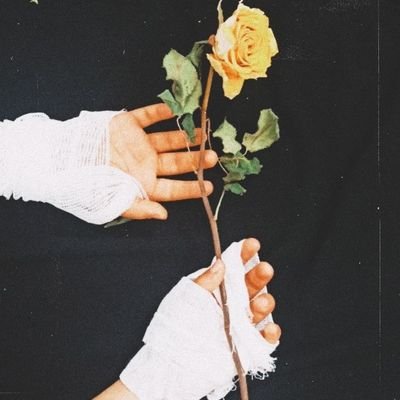 saminghahramani's profile picture. می‌شکنیم همو، می‌رقصیم رو خرده شیشه‌ها!