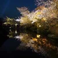 JFK (@jfk5252) 's Twitter Profile Photo