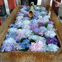 yuri (@ldu_a0) 's Twitter Profile Photo