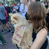 Valentina Cantori (she/her) (@valecantori) 's Twitter Profile