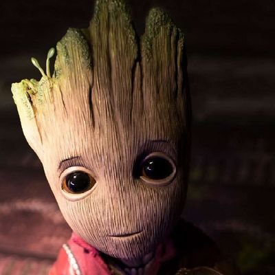 FelixNg61096430's profile picture. 