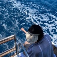 Chang Shaokun (@changshaokunnn) 's Twitter Profile