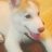 _Kevin__Martin_'s profile image