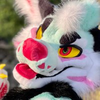 CoyotesCalling (@coyotes_calling) 's Twitter Profile