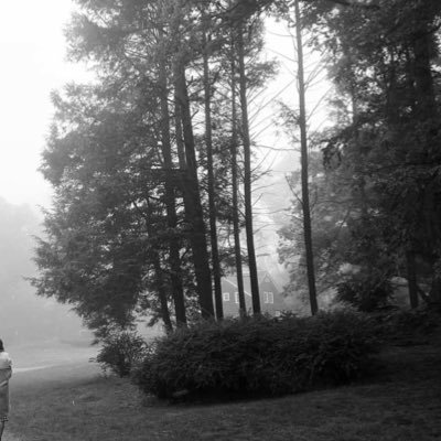 bosbos912's profile picture. 