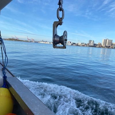 mic4166's profile picture. A guy from the ocean