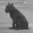 gogi_john's profile image