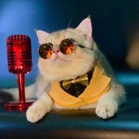 MrShrimp29 (@mshrimp29) 's Twitter Profile